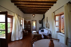 Adonis Suite